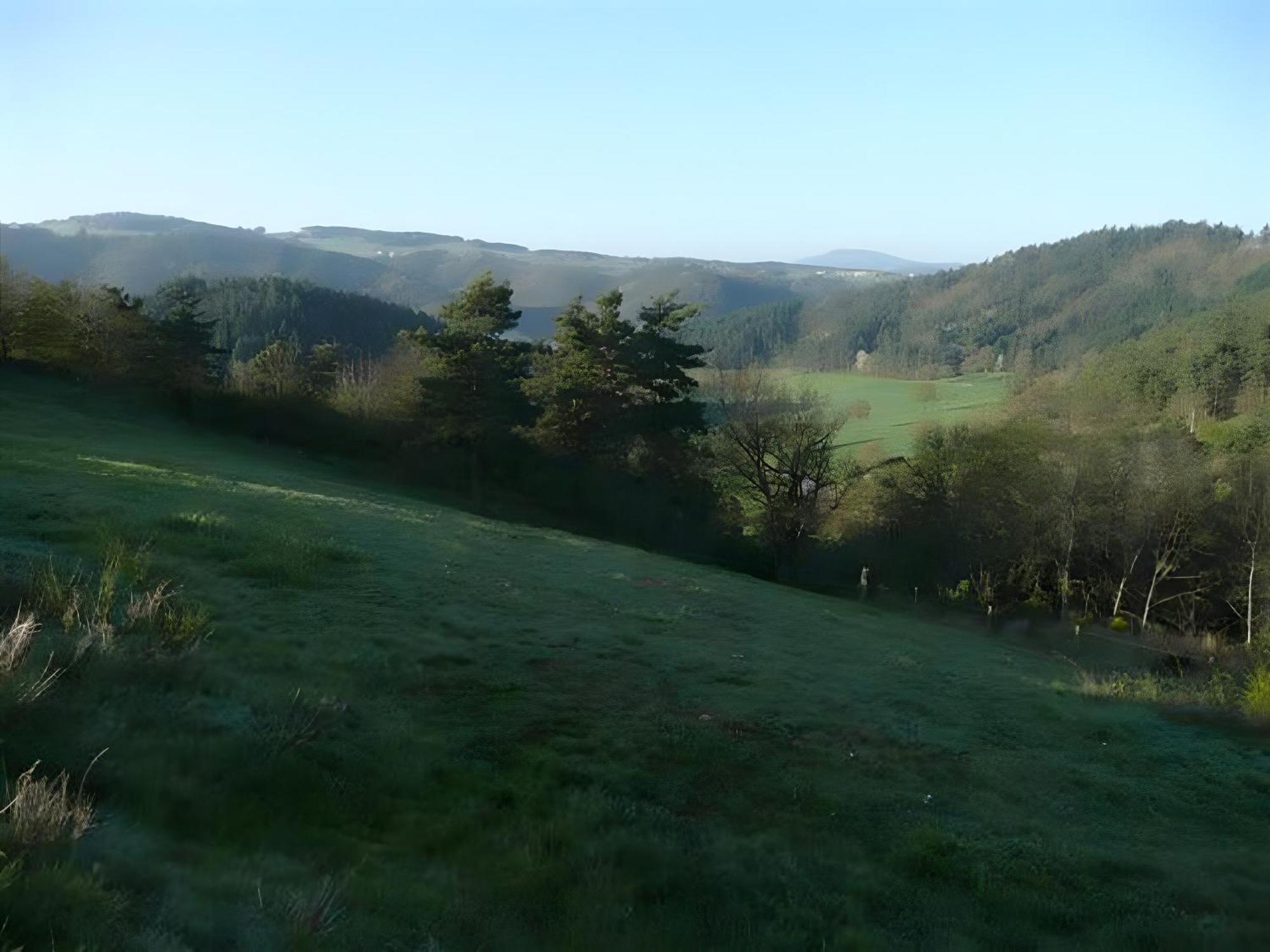 Gite La Grange De L'Effraie Villa Beauzac Eksteriør billede